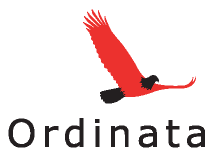 Ordinata, entreprise active dans l'animation de workshops, la formation en dynamique participative et les accompagnements individuels, pour mettre l'intelligence collective au service de votre institution.